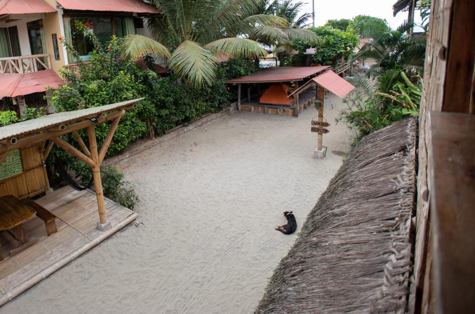 La Casa Mompiche Hotel Exterior photo